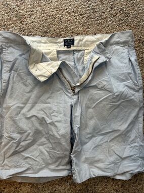 J. Crew Light Blue Pinstripe Chino Shorts